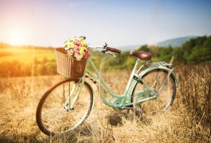 Accessori per biciclette a Parma